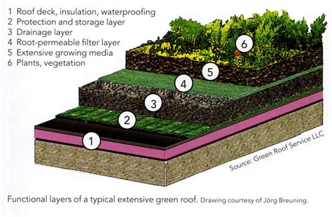 Construction Components Of Green Roofs The Science Of Sustainability
