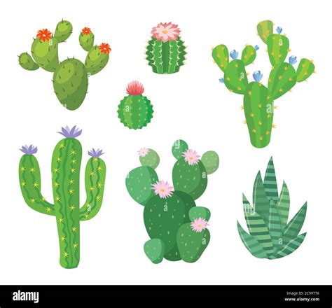 Cartoon Cactus Set Vector Set Of Bright Cacti And Aloe Colored