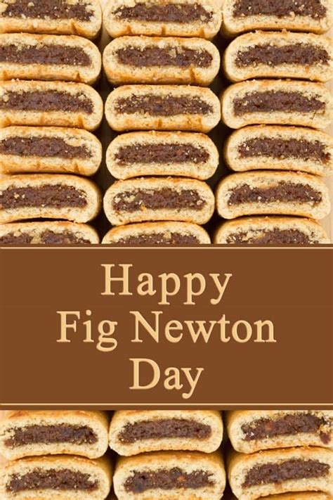 Homemade Fig Newton Bars Recipe Simple Nourished Living