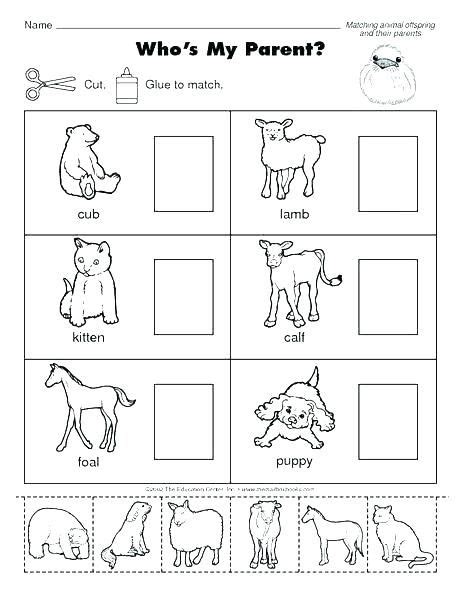 Animals Worksheets For Kids Wild And Domestic Kindergarten Related Time