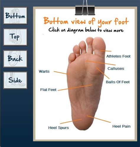 Use Our Interactive Foot Map To Help Locate The Source Of Your Foot