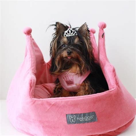 Pin On Pampered Pooches