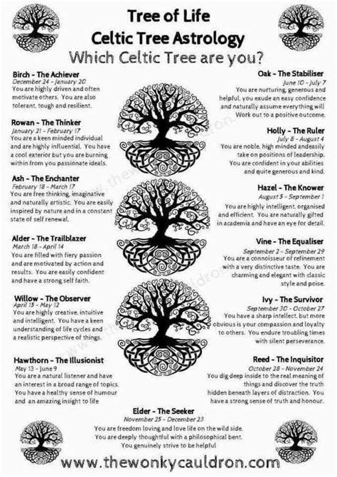 Celtic Tree Zodiac Celtic Tree Astrology Celtic Symbols Celtic