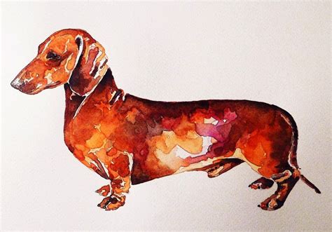 Watercolors Of Dachshunds Dachshund Painting Watercolor Dog Doxie Art