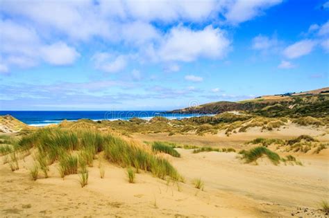 The Sand Dunes At Sandfly Bay Stock Photo Image Of Beach Marker