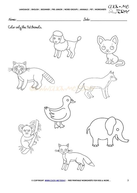Pet Animals Worksheet - Activity Sheet 3 | Animal worksheets