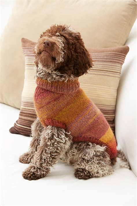 Proud Puppy Dog Sweater Pattern Knit Lion Brand Yarn