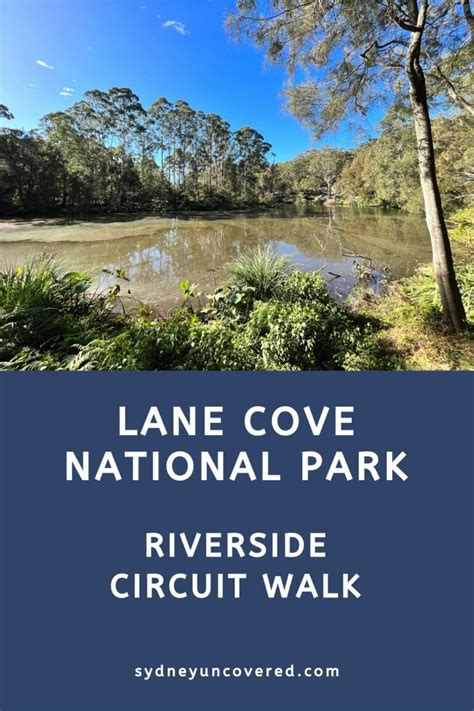 Lane Cove National Park Riverside Loop Walk Sydney Uncovered