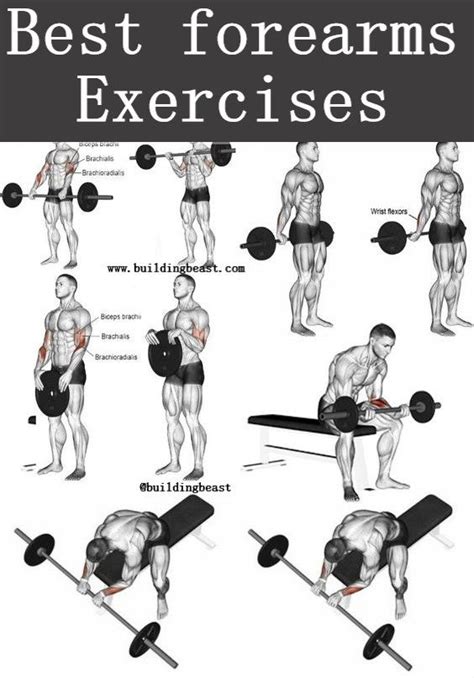 Best Forearms Exercises For Men Forearm Workout Best Forearm