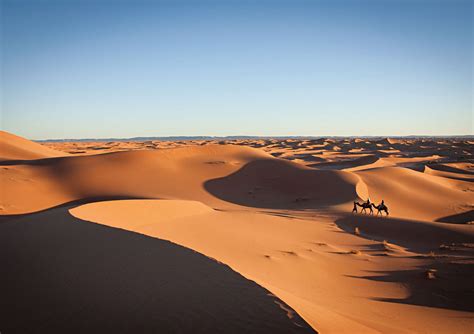 Camel Trek In The Zagora Sahara Desert Morocco Sahara Relax