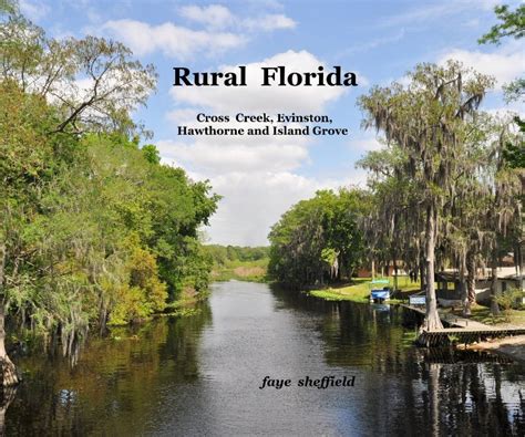 Rural Florida By Faye Sheffield Blurb Books