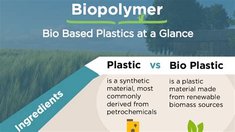 Infographic Biopolymer Bio Based Plastics At A Glance Coperion