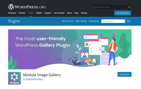 Gallery plugins for WordPress: photo galleries for your website