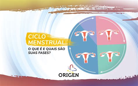 3 Formas De Determinar O Primeiro Dia Do Seu Ciclo Menstrual Kulturaupice