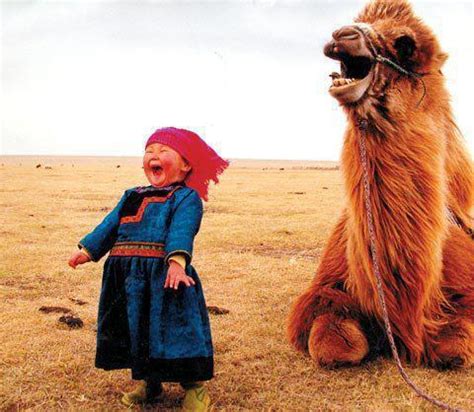 Trade those tokens for a camel. karma | A Luz do Dia