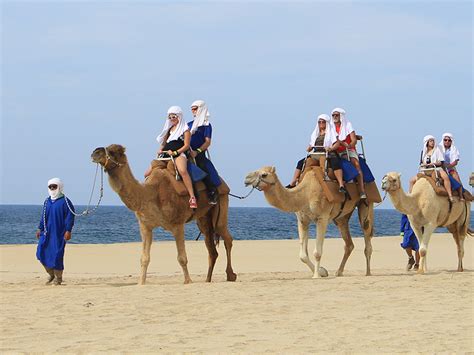 Cabo Desert Tours (ATVs, Horses and Camels) - Garza Blanca Resort News