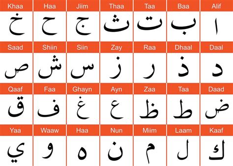 Idee Su Alfabeto Arabo Nel Alfabeto Arabo Alfabeto Arabo Porn