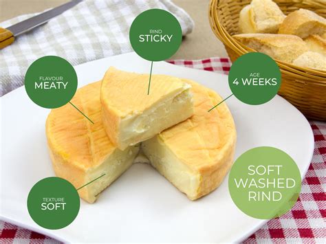 washed rind cheeses complete guide and famous examples