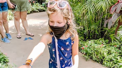 Maybe you would like to learn more about one of these? Hershey Lodge Birthday Trip: Part 3 - YouTube
