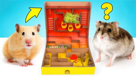 Diy Hamster Maze With Pringles Can And Spinner Obstacles Youtube
