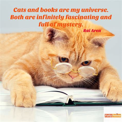 Cts And Books My Two Favorite Things Quotes Cats Cat Quotes Cute