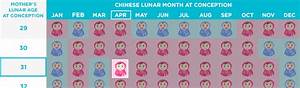Chinese Gender Predictor Chart Chinese Gender Calendar