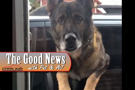 Off Duty Ohio Police Dog Gets A Special Treat The Good News Video