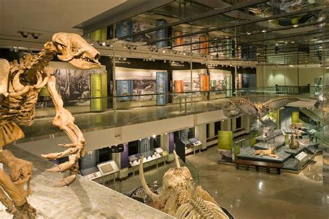 Natural History Museum Of Los Angeles County Discover La Mirada