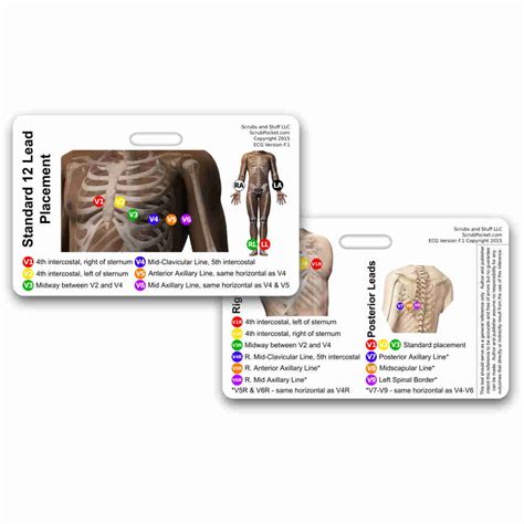 Ekg 12 Lead Placement Horizontal Badge Card