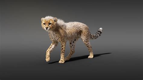 Cgi 3d Animated Animal In Blender Walking Cheetah Showreel Youtube