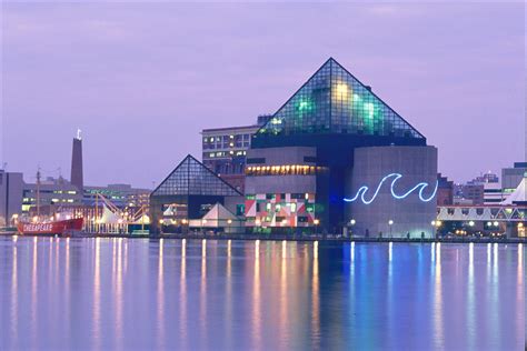 National Aquarium Baltimore Baltimore Aquarium Travel Places To Go