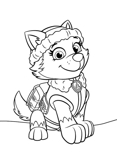 Dibujos Animados De Paw Patrol Para Colorear Dibujos Para Colorear Y