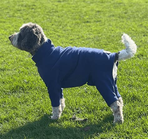 Top 25 Dog Clothing Brands
