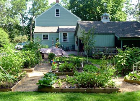 A Backyard Market Garden