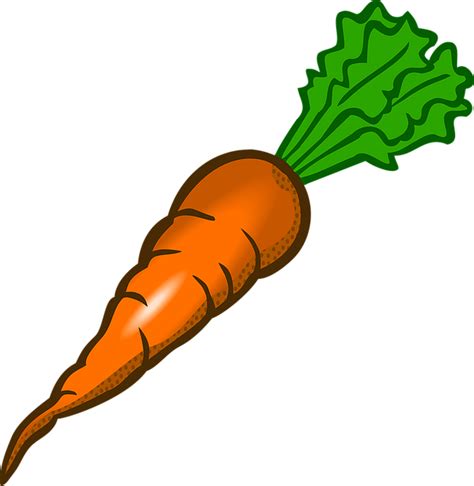 Download Carrot Vegetable Food Royalty Free Vector Graphic Pixabay