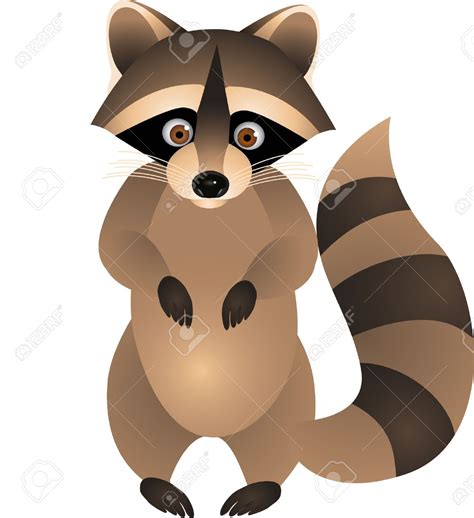 Raccoon Clipart 20 Free Cliparts Download Images On Clipground 2021