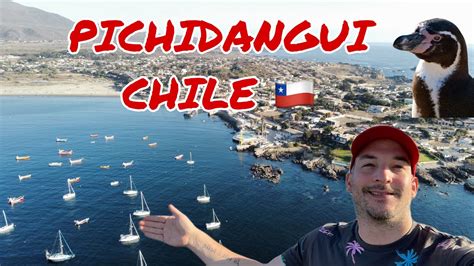 Pichidangui Chile Pueblo Mágico Y Tranquilo 🐧 Youtube