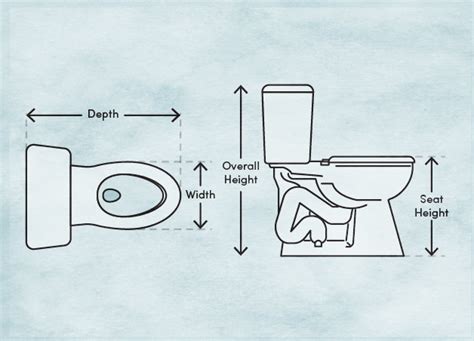 Toilet Dimensions And Measurements To Know Wayfair