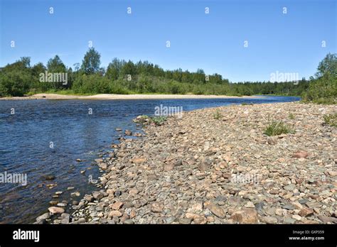 Taiga River In The Northern Urals The National Park Yugyd Va The