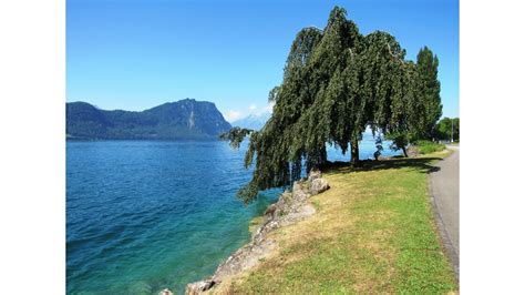 Lac Des Quatre Cantons Lucerne Suisse Haut Lieu Geofr