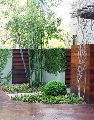 A mix of plants, like arborvitae and feather grass, soften the garden, while a buddha statue, a fountain, and. Modernize Your Garden With Bamboo | The Garden Glove