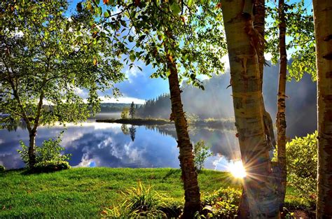 무료 이미지 나무 숲 태양 일몰 햇빛 아침 잎 호수 반사 가을 대조 푸른 시즌 캐나다 아름다움