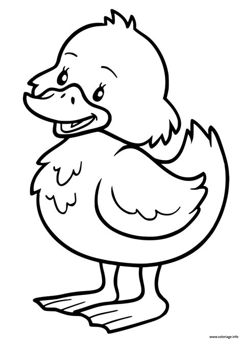 Coloriage petit canard maternelle  JeColorie.com