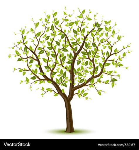 Vector Tree Tree Silhouette Vector Pack Download Free Vectors