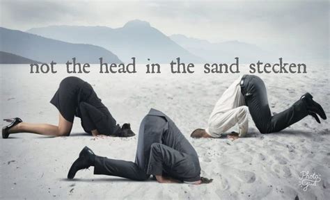 Nicht Den Kopf In Den Sand Stecken Head In The Sand Overcoming Fear