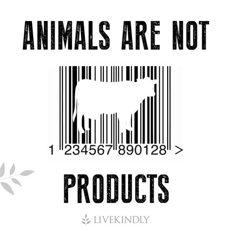 Pin on Animal Rights