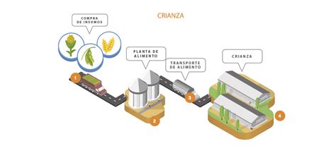 Procesos Productivos Agrosuper Agrosuper