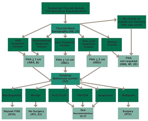 Figure 1 Algorithm For Evaluation And Management Of Patients With