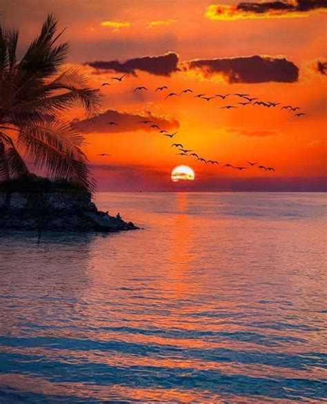 Serene Sunset By Basem Salieem Beautiful Landscapes Sunset