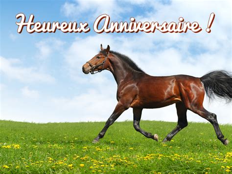 320 mathilde t'invite à partager un moment magique entourée de ses amis les lic. image anniversaire cheval